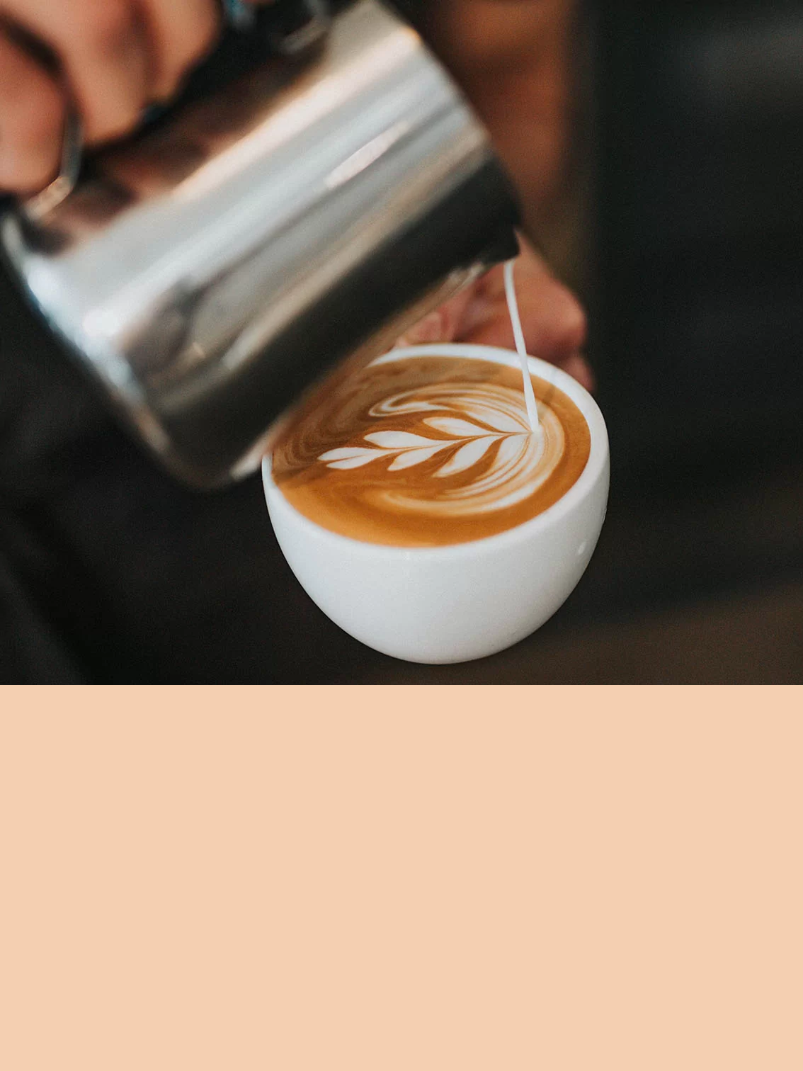 MASTERCLASS BARISTA & LATTE ART