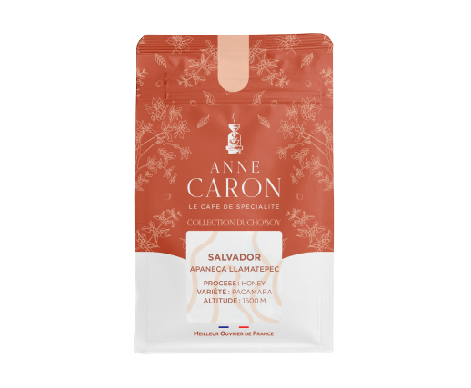 copy of Guatemala La Libertad