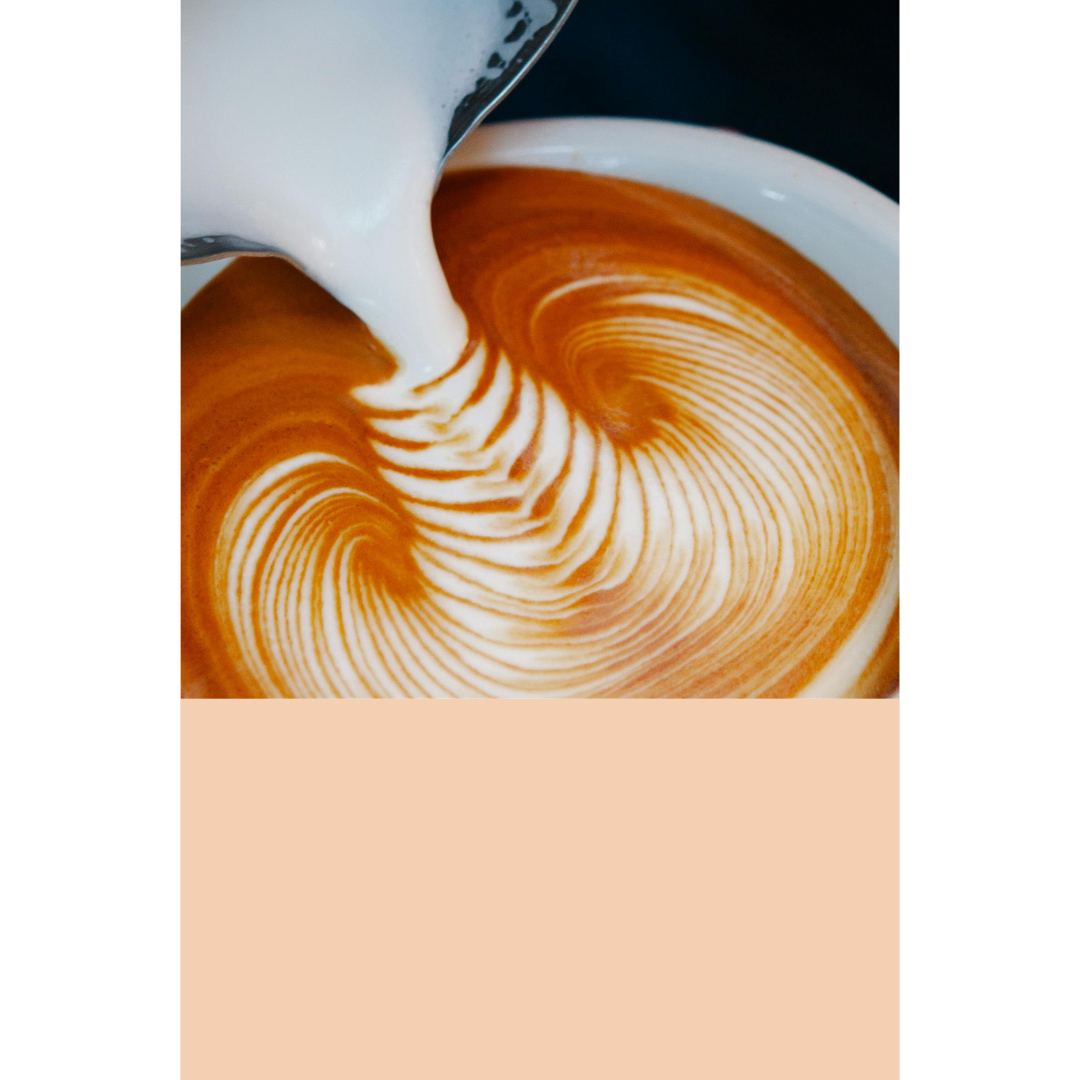 FORMATION BARISTA PRO