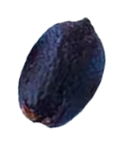 café de spécialité