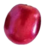 café de spécialité