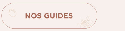 Nos guides