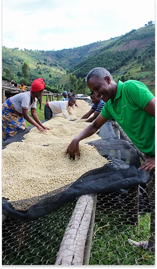 au plus  près des producteurs