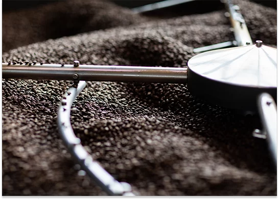 un café de spécialité